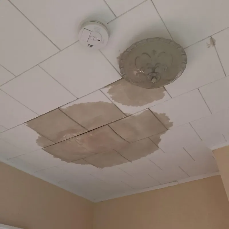 Ceiling Water Damage Repair in Griggsville, IL