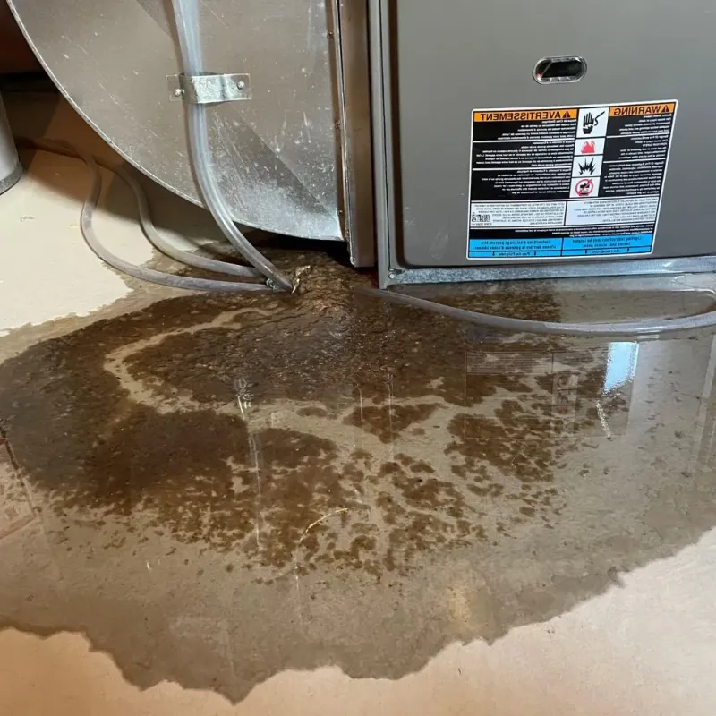 Pipe Burst and Leak Restoration in Griggsville, IL