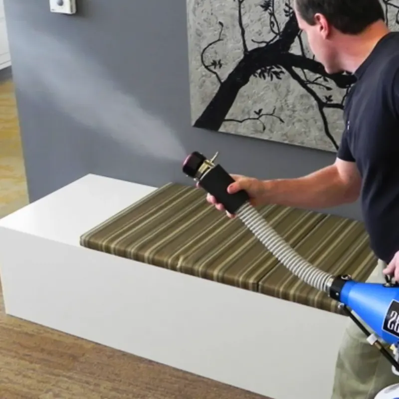 Professional Odor Removal in Griggsville, IL