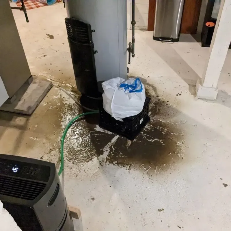 Sewage Backup Cleanup Service in Griggsville, IL